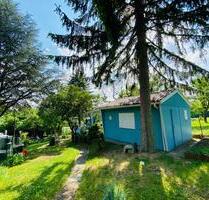 Traum Garten zu vermietenpachten FrankfurtM Seckbach 500qm - Frankfurt am Main Bornheim