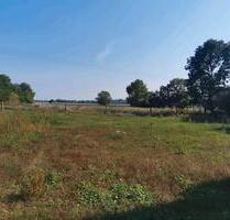 5000qm Weideland - 750,00 EUR Kaltmiete, ca.  0,00 m² in Hötensleben (PLZ: 39393)