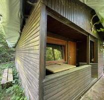 Waldgrundstück mit maroder Waldhütte - Lindlar