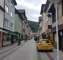 1,5 Zimmer Wohnung zu vermieten! - Bad Wildbad