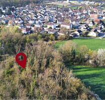 Kleines Grundstück im Dreiländereck - Eimeldingen