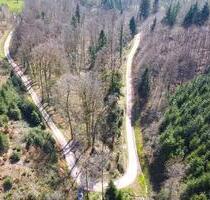 0,8 ha Waldfläche in der Schlucht Scheuermatt in Schopfheim