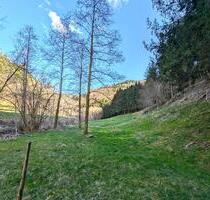 Wiesenfläche in Zell im Wiesental OT Mambach