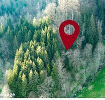 Kleine Waldfläche in Mambach - 500,00 EUR Kaltmiete, ca.  0,00 m² in Zell im Wiesental (PLZ: 79669)