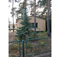 Biete Wohngemeinschaft in Mellensee - Am Mellensee