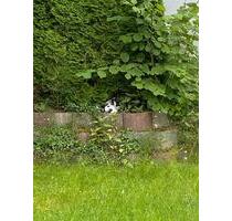 EFH (Provisionsfrei, letzte Chance) - Vilsheim