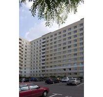 Singles aufgepasst! günstige und geräumige 1-Zimmer-Wohnung in Citylage! - Dresden Plauen