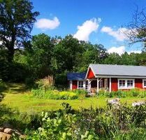 Ferienhaus Alleinlage Lüneburger Heide 6 Personen 2 Hunde Garten - Oetzen