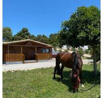 Urlaub in Andalusien Ferienhaus in Vejer de la Frontera - Karlsruhe Innenstadt-Ost