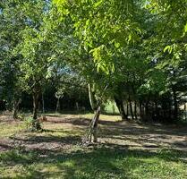 Gartengrundstück zur Pacht 300m2 für 200€ mtl. - Wiesbaden Mainz-Amöneburg