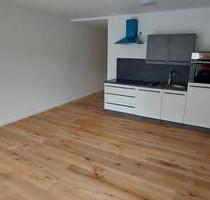 Einzimmerwohnung in Homburg Neubau Zustand