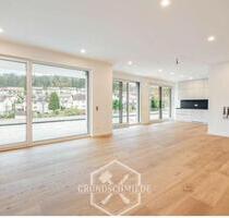 Penthouse-Wohnung in Mosbach 211 qm