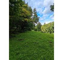 Wiesengrundstueck Ackerland - 2.500,00 EUR Kaltmiete, ca.  0,00 m² in Albersweiler (PLZ: 76857)
