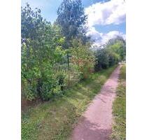 Garten abzugeben - 2.500,00 EUR Kaltmiete, ca.  0,00 m² in Klipphausen (PLZ: 01665)