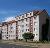 Erstbezug! Sanierte 3-Raum-Wohnung im 1.Obergeschoss! - Neustrelitz