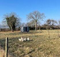 Freizeitgrundstück mit Blick auf die Mettnau - nicht bebaubar - Radolfzell am Bodensee