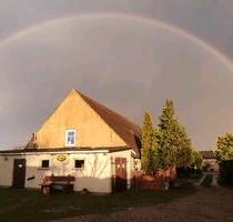 Einfamilienhaus Haus Grundstück - Demmin