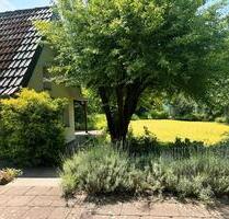 *Provisionsfrei* 4 Zimmer ETW, Garten, Terrasse, Kaminofen, - Osnabrück Hafen