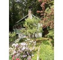 Haus im Wald mit Fischteich am Bach - Mitterfels