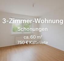 Frisch renovierte 3-Zimmer-Wohnung in Schonungen (EG) – ca. 60 m² - Karlstadt