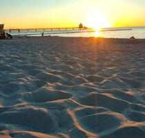 Ferienhaus in Zingst kurzfristig freigeworden