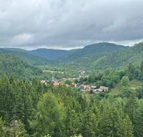EFH - Wohnen, wo andere Urlaub machen! - Langelsheim