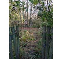 Garten Gartengrundstück, Berger Hang Bergen-Enkheim zu verpachten - Frankfurt am Main