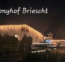 4 Raum Wohnung in Briescht ca. 120qm - Beeskow