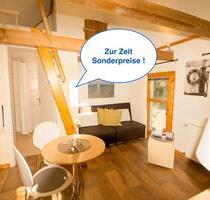 Süße Ferienwohnung mit Hund Bü Ostsee Wendtorf b. Laboe ab