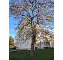 3-Raum-Wohnung mit Aussicht im 3.OG mit Balkon, Meischnerstr. 67 - Penig