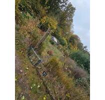 Schrebergarten günstig und schnell abzugeben - Bad Schwartau