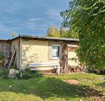 Kleingarten Abzugeben 1-3 Kleingärten - Thale