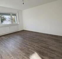 Frisch renovierte 2-Zimmer-Wohnung im Waldhof mit Einbauküche!!! - Mannheim Gartenstadt