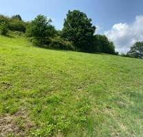 2 Grundstücke in Bacharach - 5.000,00 EUR Kaltmiete, ca.  0,00 m² in Bacharach (PLZ: 55422)