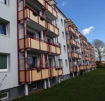 Ruhig im Grünen Wohnen - 305,00 EUR Kaltmiete, ca.  49,50 m² in Neubrandenburg (PLZ: 17033)