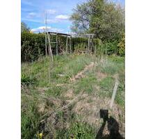 Garten Gemüsegarten 350 m2 - 300,00 EUR Kaltmiete, ca.  0,00 m² in Malberg (PLZ: 57629)