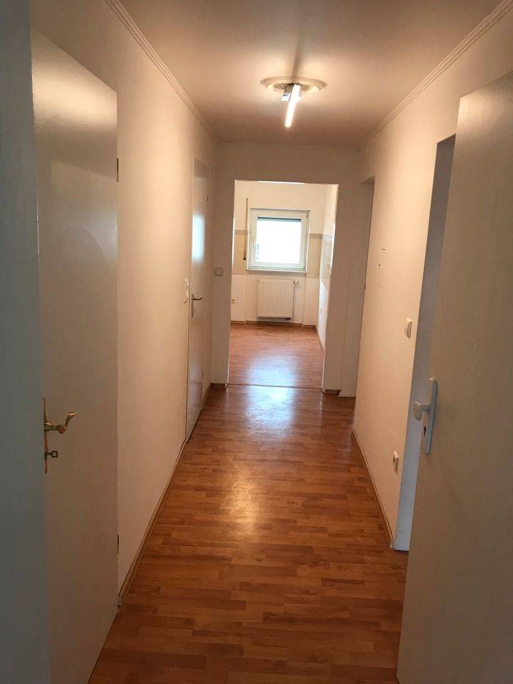 2,5 Zimmer DG Wohnung in Schifferstadt