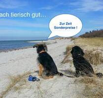 Herbst Ferienwohnungen 1-8 Pers. Ostsee Wendtorf Kieler Bucht ab - Laboe