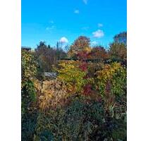 Kleingarten - 1.500,00 EUR Kaltmiete, ca.  0,00 m² in Groitzsch (PLZ: 04539)