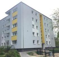 Helle 3-Zimmer-Wohnung mit Balkon in Schildesche! - Bielefeld