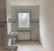 3-Raum Wohnung inmitten des Harzes - Oberharz am Brocken Benneckenstein