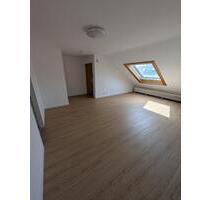 Geräumige, vollständig renovierte 1-ZKB-Dachgeschosswohnung - Ludwigshafen am Rhein Mundenheim