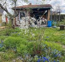 Schrebergarten Lindenberg 4 - 1.000,00 EUR Kaltmiete, ca.  0,00 m² in Braunschweig (PLZ: 38102) Östliches Ringgebiet