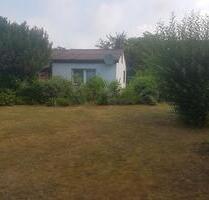 Bungalow zu ebener Erde in ruhiger Lage, 29462 Wustrow - Wustrow (Wendland)