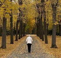 ✅ Wohnung f. hilfsbereite Mitbewohnerin respektvolles Miteinander - Pforzheim Eutingen