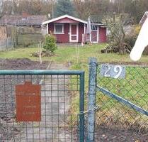 Kleingarten, Schrebergarten, 300 qm Grundstück - Gifhorn
