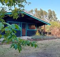 Blockbohlenhaus am Bernsteinsee - Sassenburg