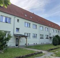 schöne helle 4-Raum Wohnung in Hüttenrode mit Gartennutzung - Blankenburg (Harz)