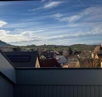 Loftartige 3 12 Zimmer Wohnung mit Dachterrasse und Teckblick - Owen