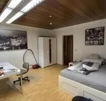 Vollmöbliertes 1,5 Zimmer Apartment zu vermieten - Mosbach